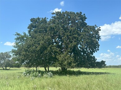 0 County Road 121 unit ACT4600066, Leesville, TX 78140 - photo 2