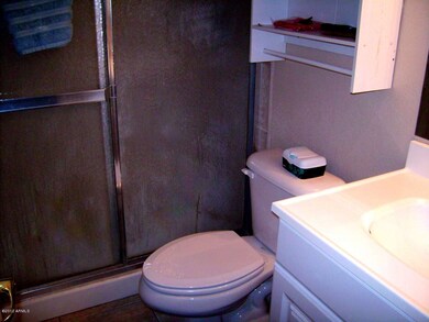 Master Shower