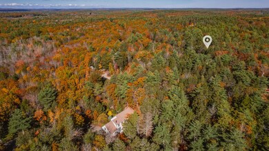 Lot 59X 2