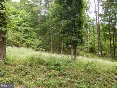 0 River Oak Dr unit 1000402979, Bentonville, VA 22610 - photo 2