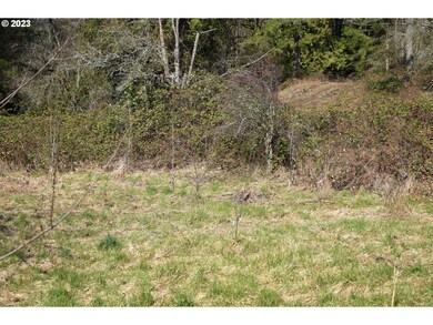 14785 S Howards Mill Rd, Mulino, OR 97042 - photo 6