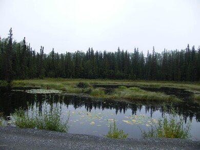 Nearby Pond