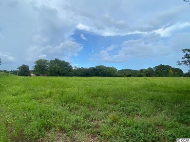 Lot 4A Antioch Rd, Conway, SC 29527 - photo 7