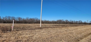 4803 NW Highway Dd, Urich, MO 64788 - photo 4