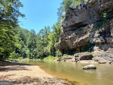 560 Neptune Cir, Ranger, GA 30734 - photo 4