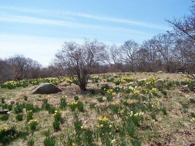 3 Attaquin Way, Aquinnah, MA 02535 - photo 4