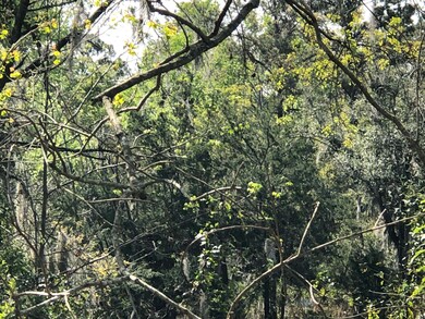 3140 Bessent Rd, Jacksonville, FL 32218 - photo 4