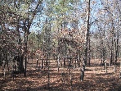 N8755 County Road H, Camp Douglas, WI 54618 - photo 6