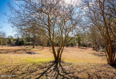 07-DSC00691