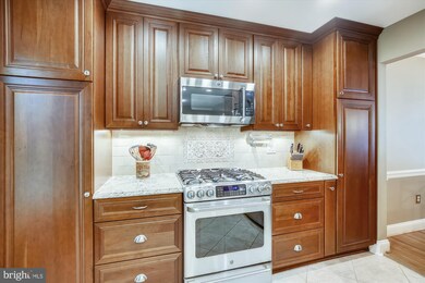 5006 Domain Place, Alexandria, VA 22311 - photo 5