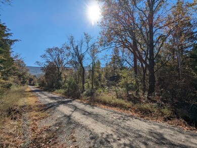 TBD U S 59 unit 13, Heavener, OK 74937 - photo 3