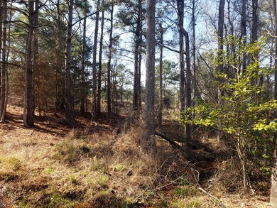 TBD County Road 153, Nacogdoches, TX 75965 - photo 7