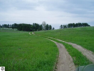 0 S Bugai Rd, Cedar, MI 49621 - photo 3