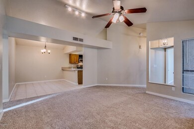 1711 E Juanita Ave, Mesa, AZ 85204 - photo 7