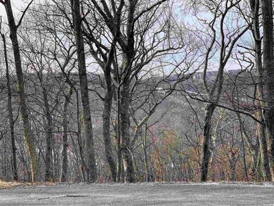 68 Pedlars End, Roseland, VA 22967 - photo 3