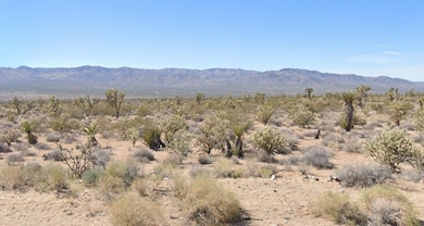 0 Roger Dr, Meadview, AZ 86444 - photo 6