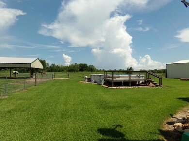6203 County Road 182, Alvin, TX 77511 - photo 7