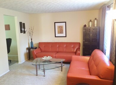 photo 1 (7)