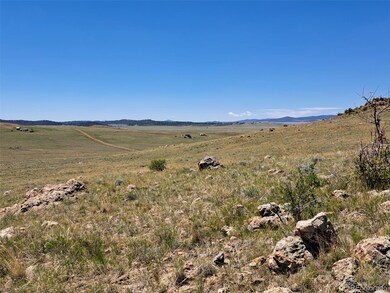 6630 Atoka Rd, Hartsel, CO 80449 - photo 4