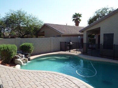 backyard (6)