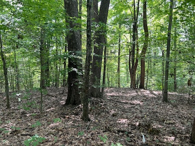 3501 S Swartz Ridge Rd, Bloomington, IN 47401 - photo 7