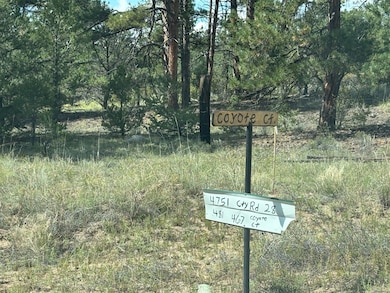 Entrance off CR 28 (Gulch Rd)