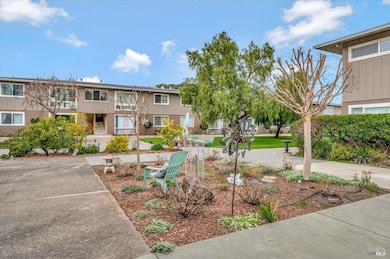 1064 Los Gamos Rd unit G, San Rafael, CA 94903 - photo 4