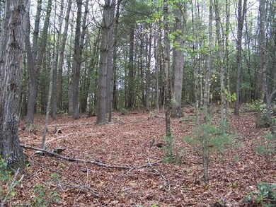 Possible Homesite