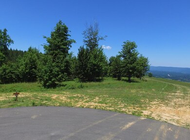 0 Hovering Hawk Dr unit 1282575, Jasper, TN 37347 - photo 3