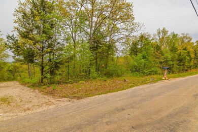 Tbd Lakeway, Swan Township, MO 65680 - photo 3