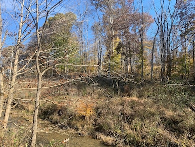 12166 Ohio 93, Logan, OH 43138 - photo 6