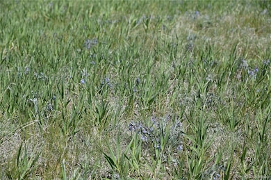 30523 Mountain View Trail unit 6, Kiowa, CO 80117 - photo 5