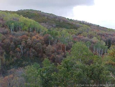 Land/Lot.