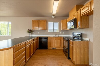 685 S Larch Ave, East Wenatchee, WA 98802 - photo 6