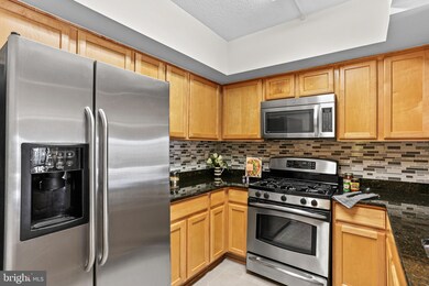 The Aurora Condominiums unit 208, Silver Spring, MD 20910 - photo 4