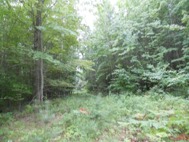 Entrance Road