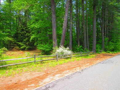 0 Ruonala Rd unit 4955598, Milford, NH 03055 - photo 2