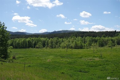 18333 Bald Hill Rd SE, Yelm, WA 98597 - photo 6