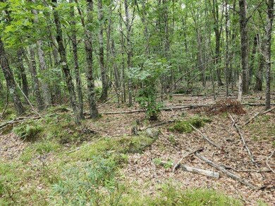 image000005(3)