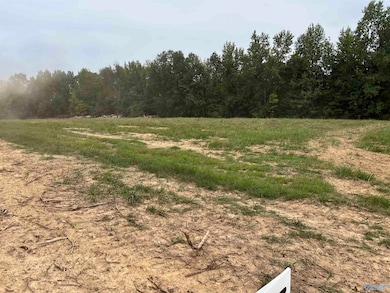 21208 Holland Rd, Athens, AL 35614 - photo 4