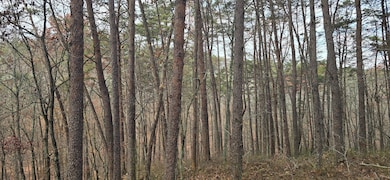 Tract 30 Gillespie Rd SE, Fairmount, GA 30139 - photo 7