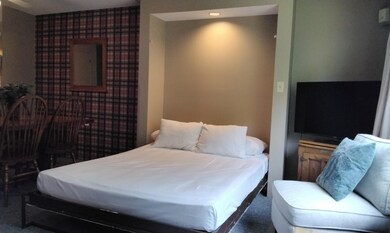 23 Black Bear Rd unit 319, Waterville Valley, NH 03215 - photo 7