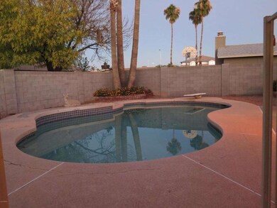 Diving Pool