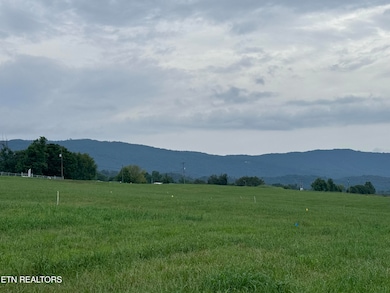 4 Rutledge Lot 4 Pike, Blaine, TN 37709 - photo 5