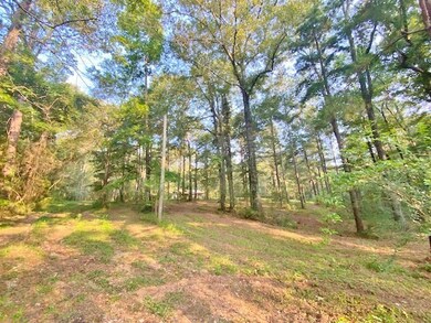 5095 Pike 93 Central, McComb, MS 39648 - photo 2