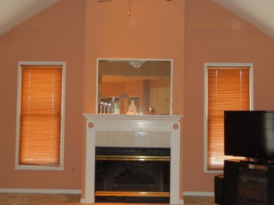 Living Rm Gas Fireplace