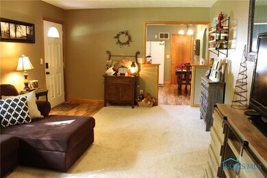 308 W Lutz Rd, Archbold, OH 43502 - photo 6