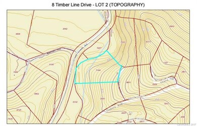 8 Timber Hill Dr unit LOT 2, Leicester, NC 28748 - photo 5