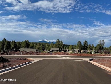 3701 W Styx Ln unit Lot 66, Flagstaff, AZ 86001 - photo 5