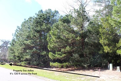 27315 E Benders Landing Blvd, Spring, TX 77386 - photo 2